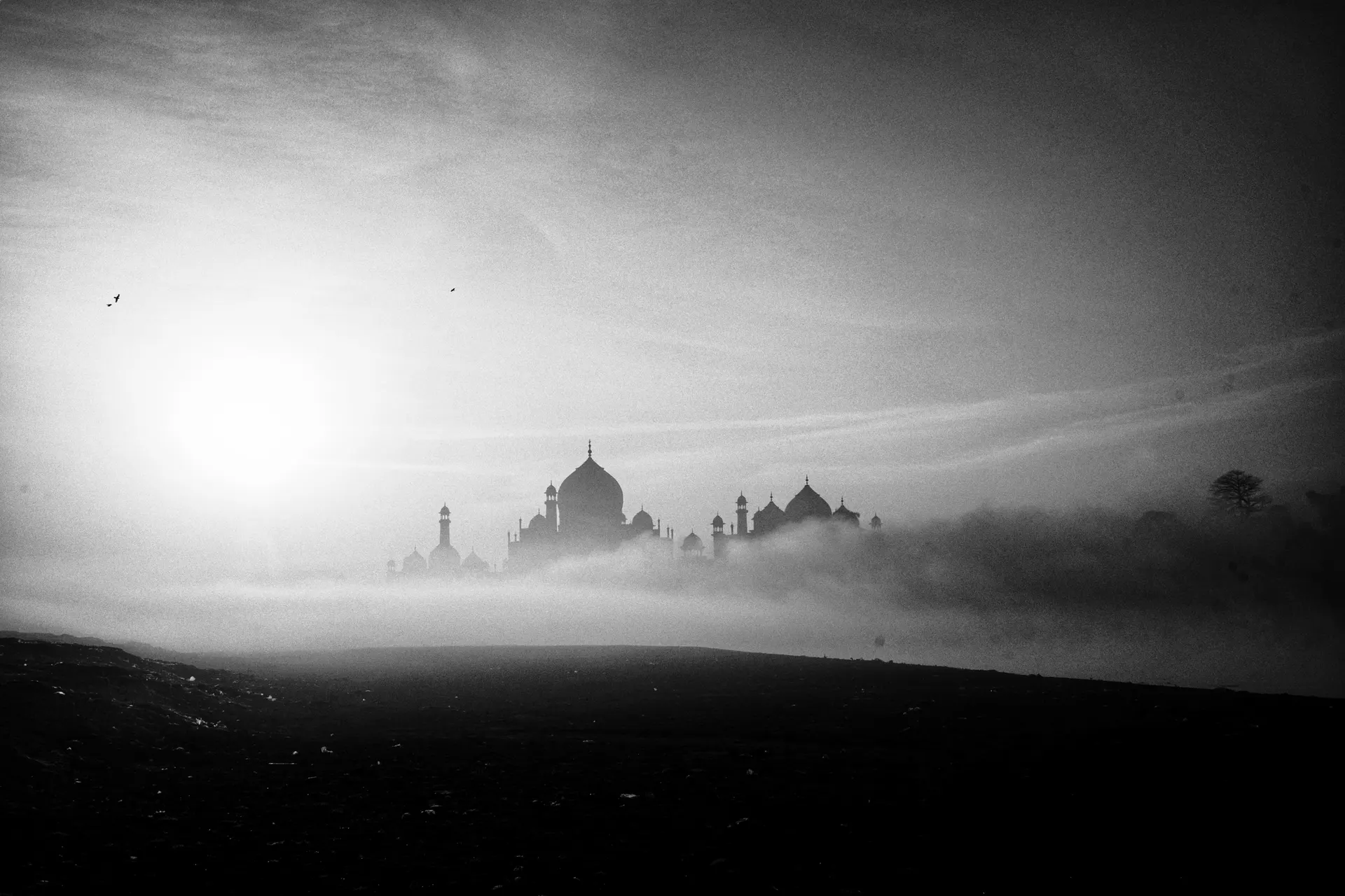 Tajmahal photograph 6